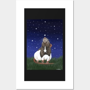 Star Gazing Rat Posters and Art